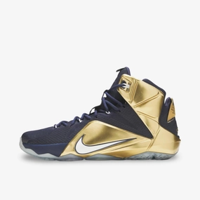 *SAMPLE* (Men's) Nike LeBron 12 PE 'Akron' (2014) HO14-MNBSKT-774-520358 live in motion move with purpose