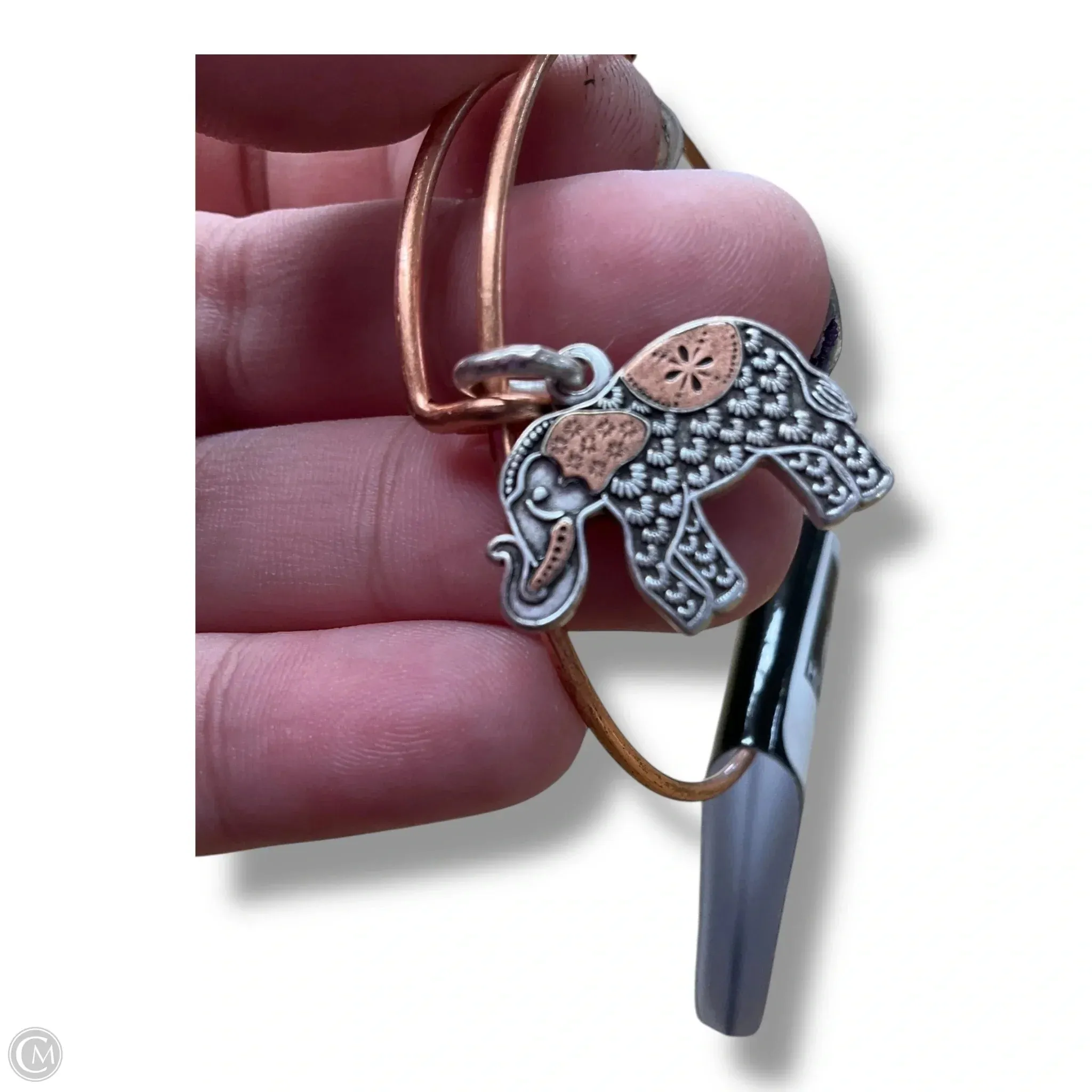 Bracelet Charm By Alex And Ani