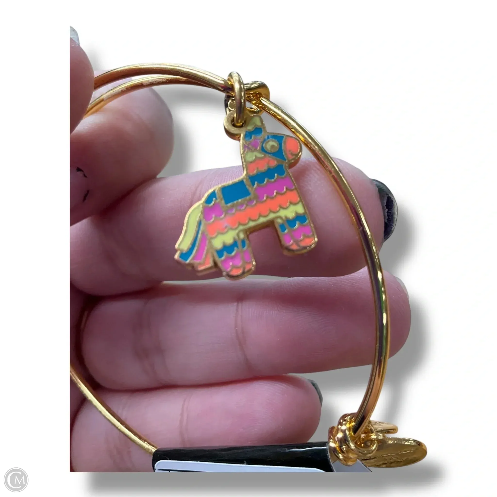 Bracelet Charm By Alex And Ani