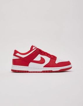 Nike Dunk Low Next Nature Fashion photography Lingerie and intimates