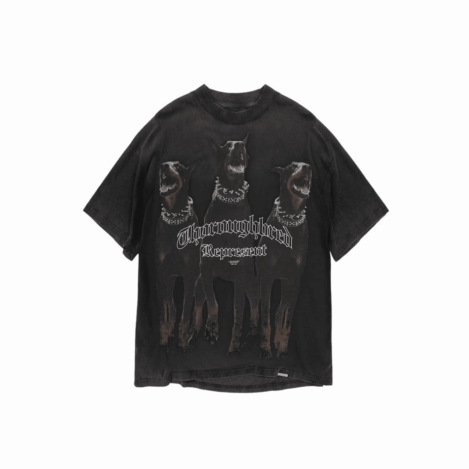 Represent Thoroughbred T-Shirt - Vintage Black