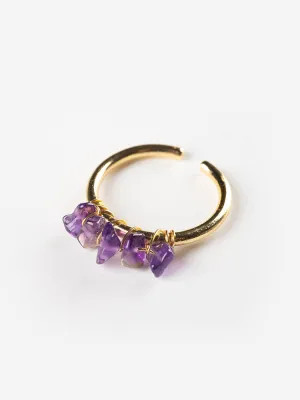 Tumbled Gems Ring - Amethyst