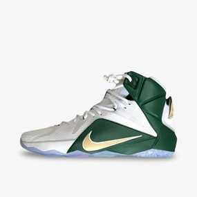 versatile pulse *SAMPLE* (Men's) Nike LeBron 12 PE 'SVSM St. Vincent St. Mary Home' (2015) SP15-MNBSKT-410-551590 crafted now